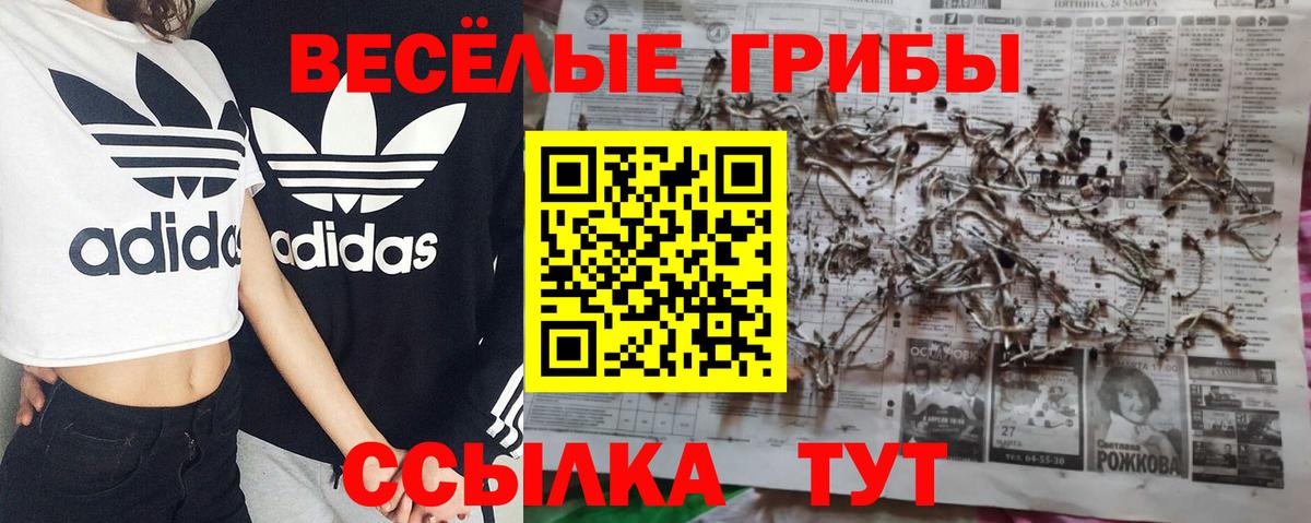 Галлюциногенные грибы прущие грибы  Вход с VPN  Костомукша  Галлюциногенные грибы ЛСД 